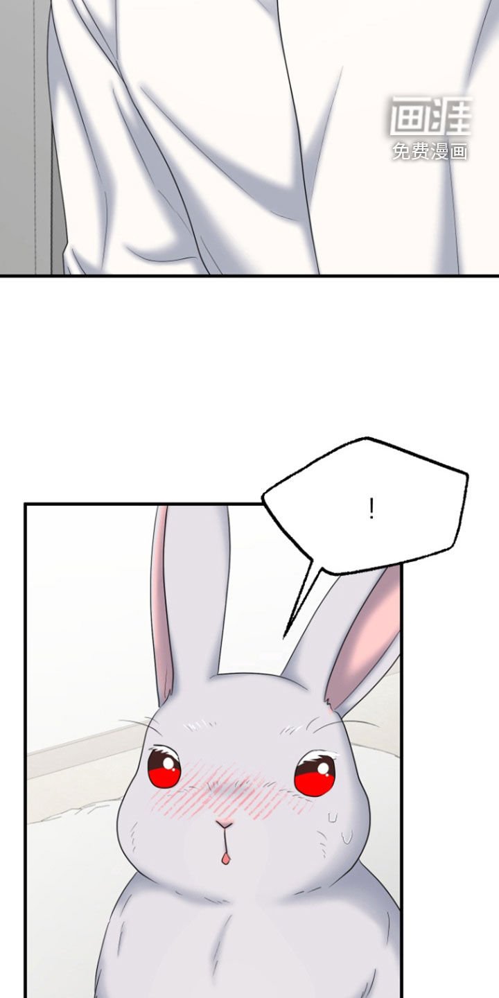 第37章：第二次见面