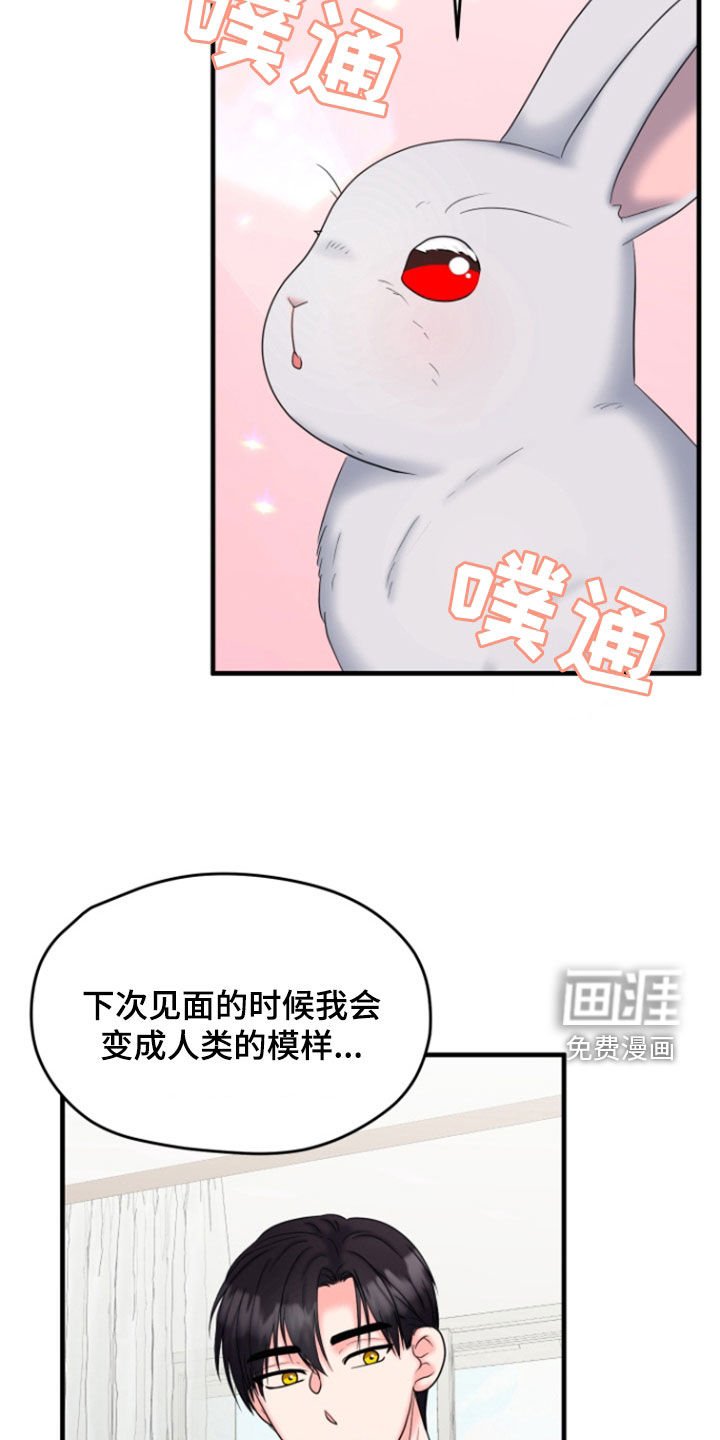 第37章：第二次见面