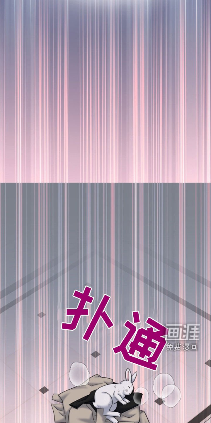 第37章：第二次见面