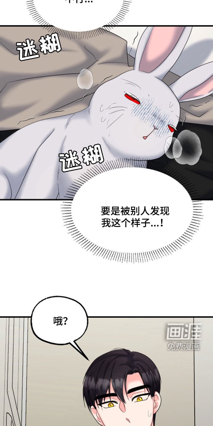 第37章：第二次见面