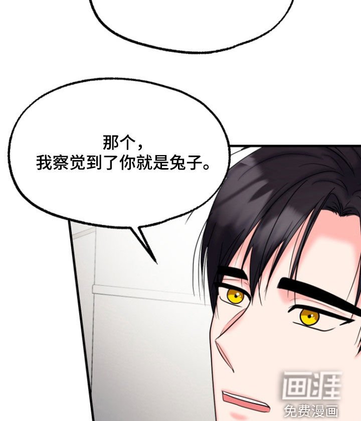 第39章：告白