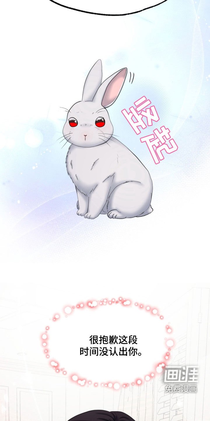 第39章：告白