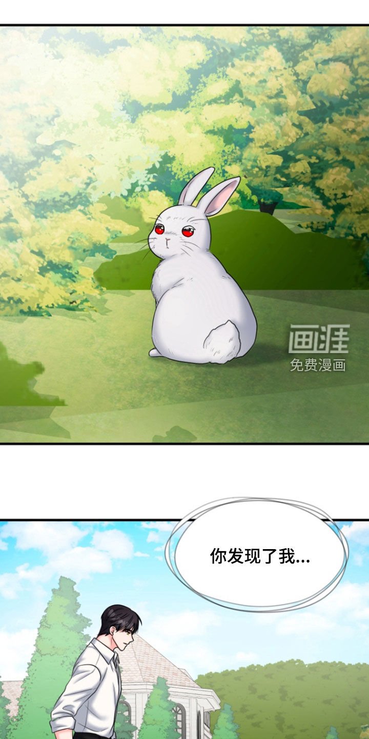 第40章：肯定会幸福（完结）