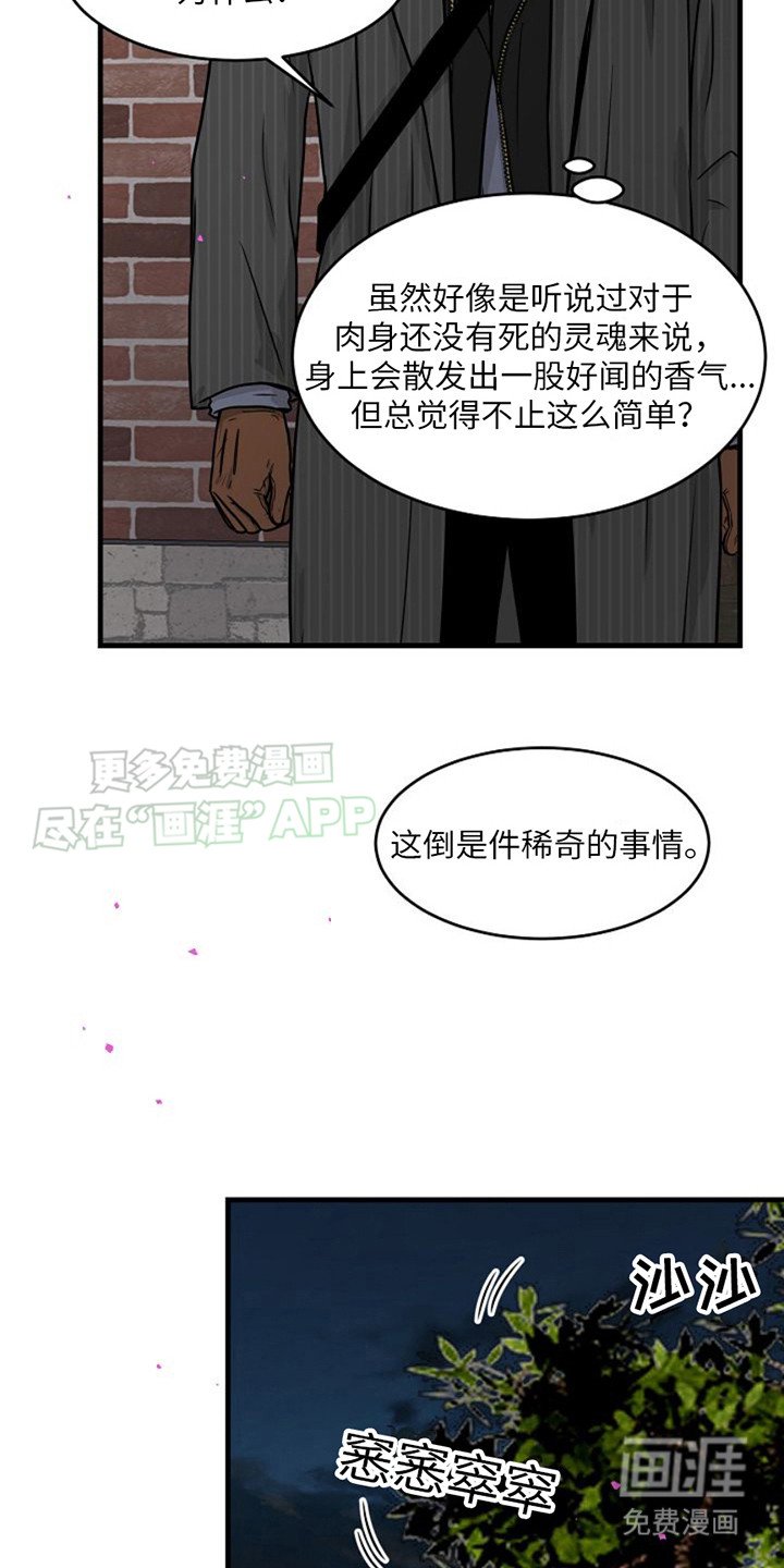 第11章：很稀奇