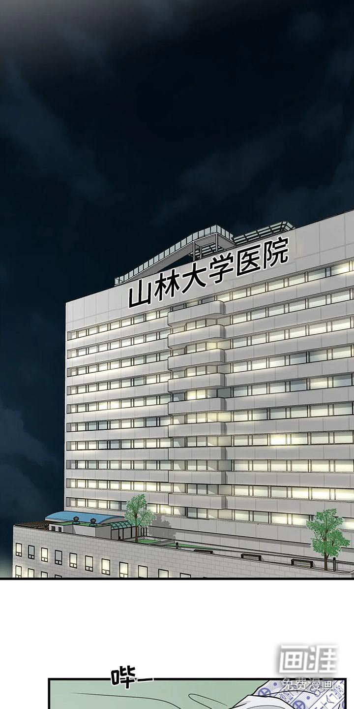 第24章：伤口