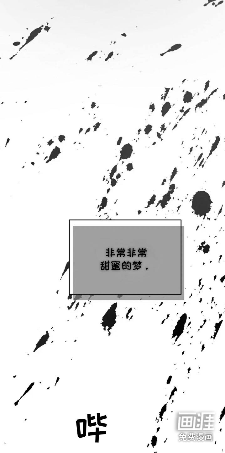第55章：回来了