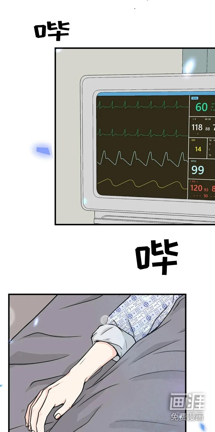 第55章：回来了