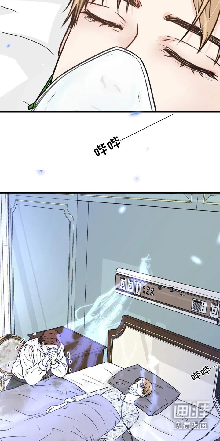第55章：回来了