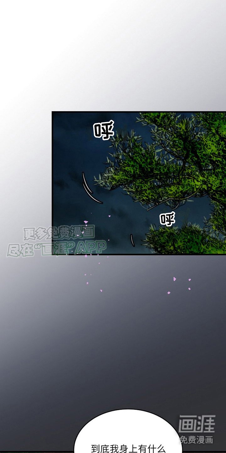 第6章：纠缠
