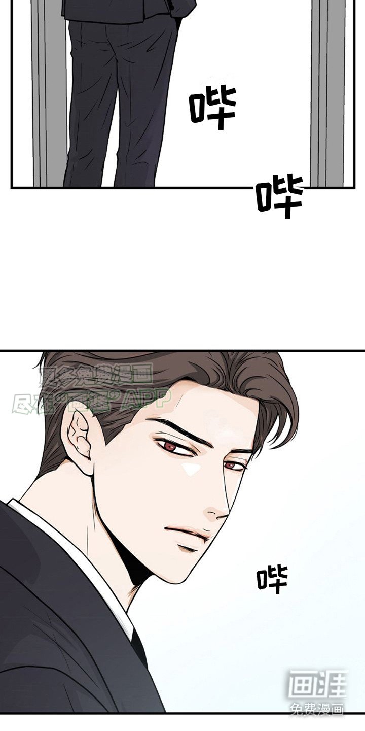 第8章：议员
