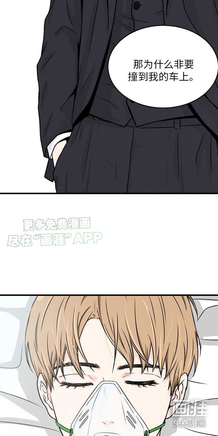 第8章：议员