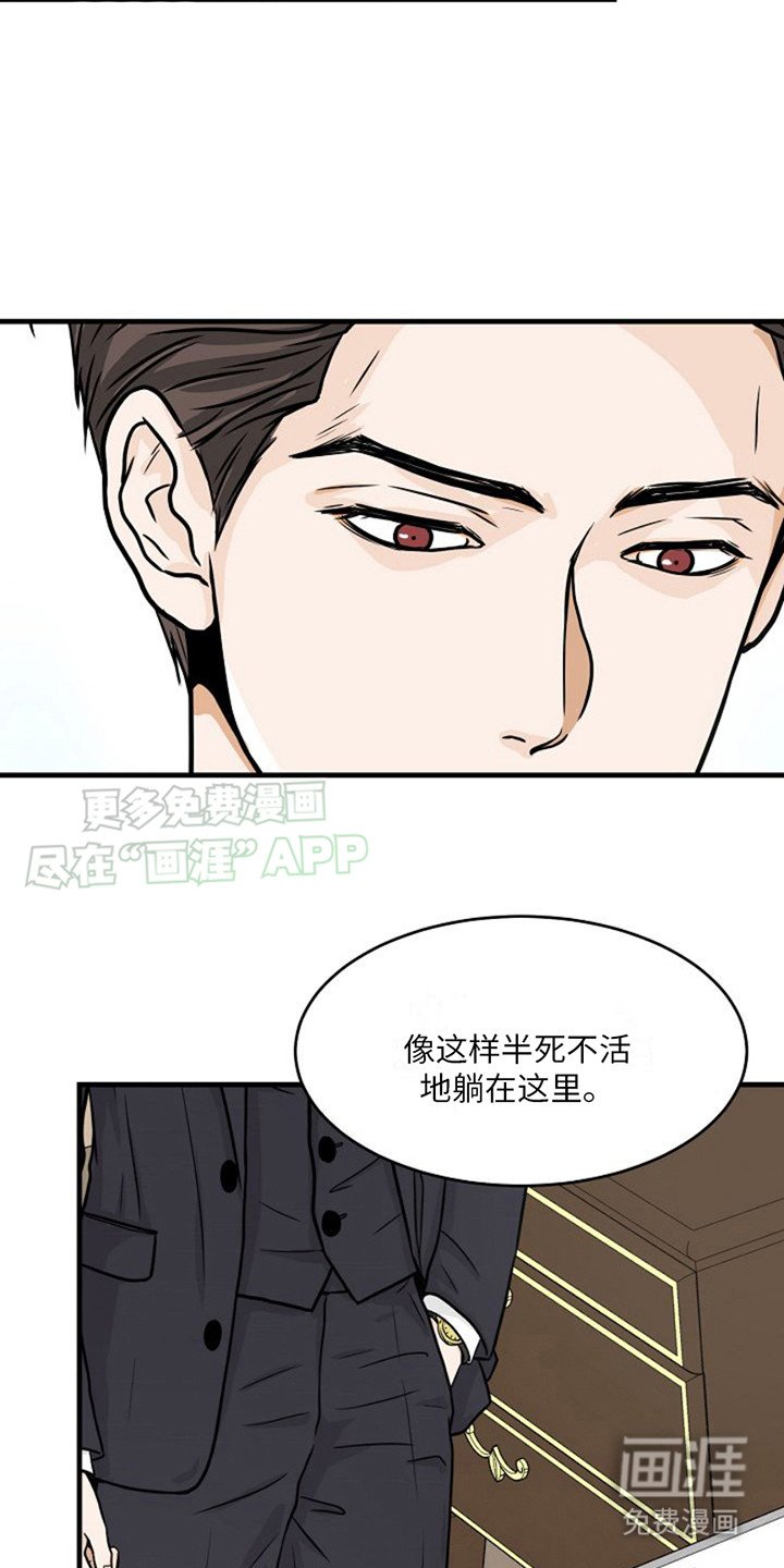 第8章：议员