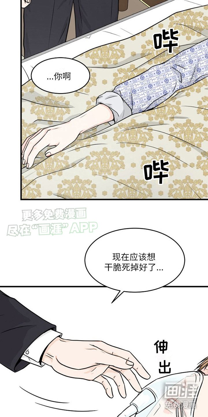 第8章：议员
