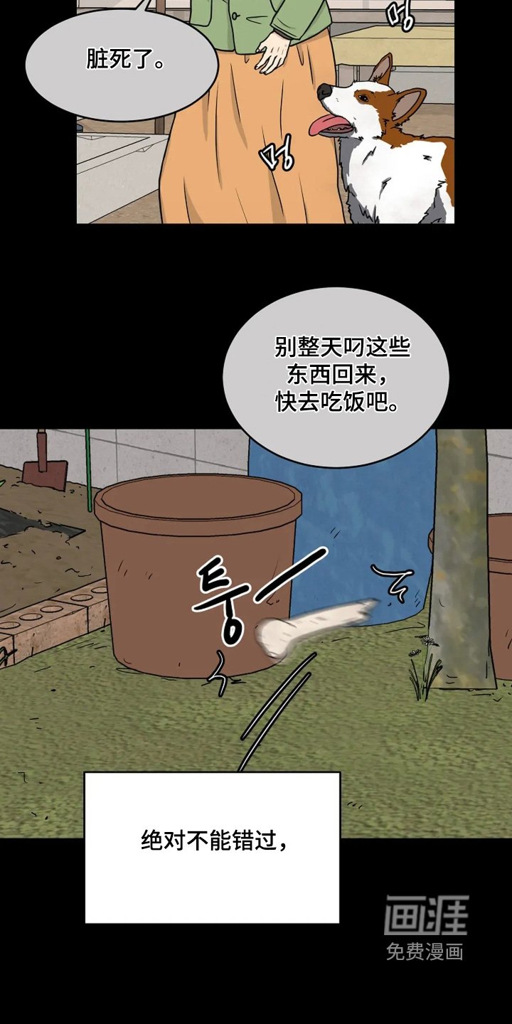第88章：打招呼（完结）