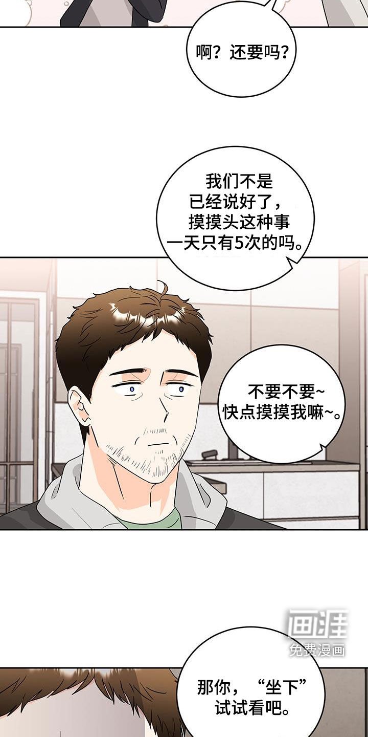 第31章：看起来很老实