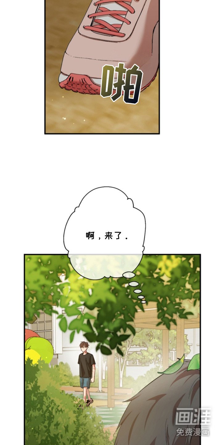 第25章：亲自看看