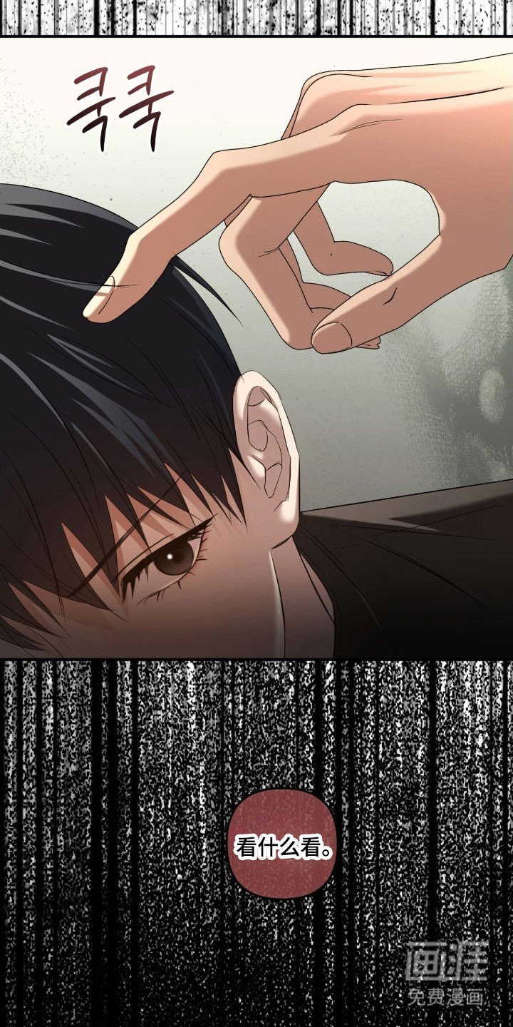 第29章：无法无视