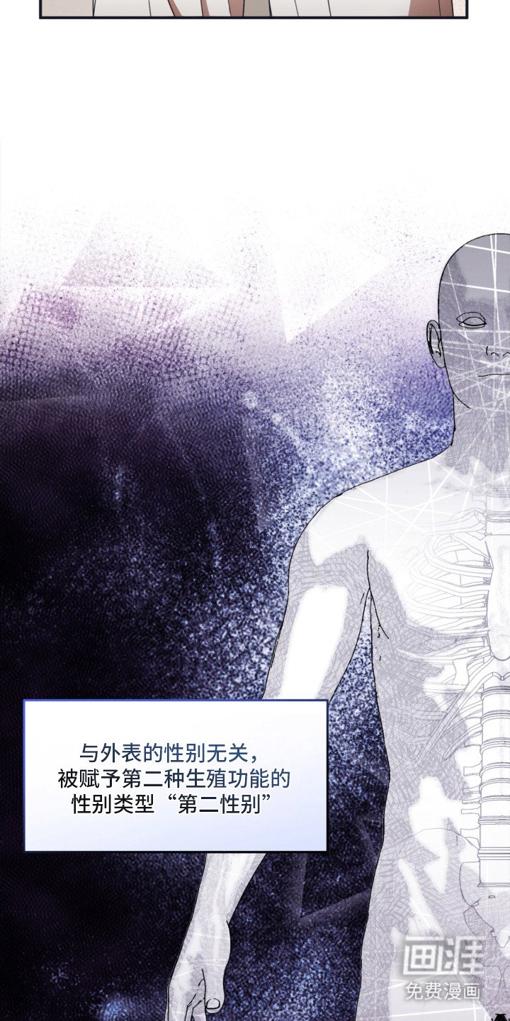 第3章：副作用