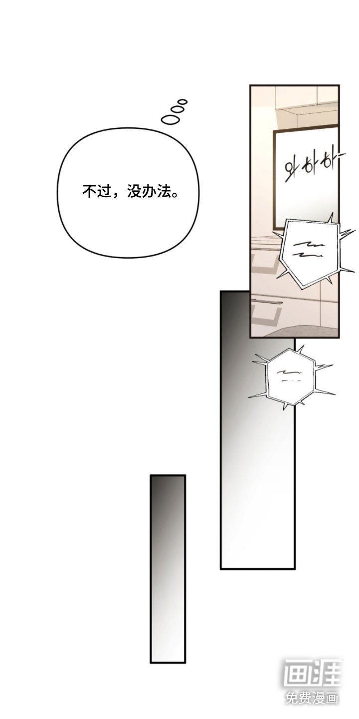 第35章：歌剧院蛋糕