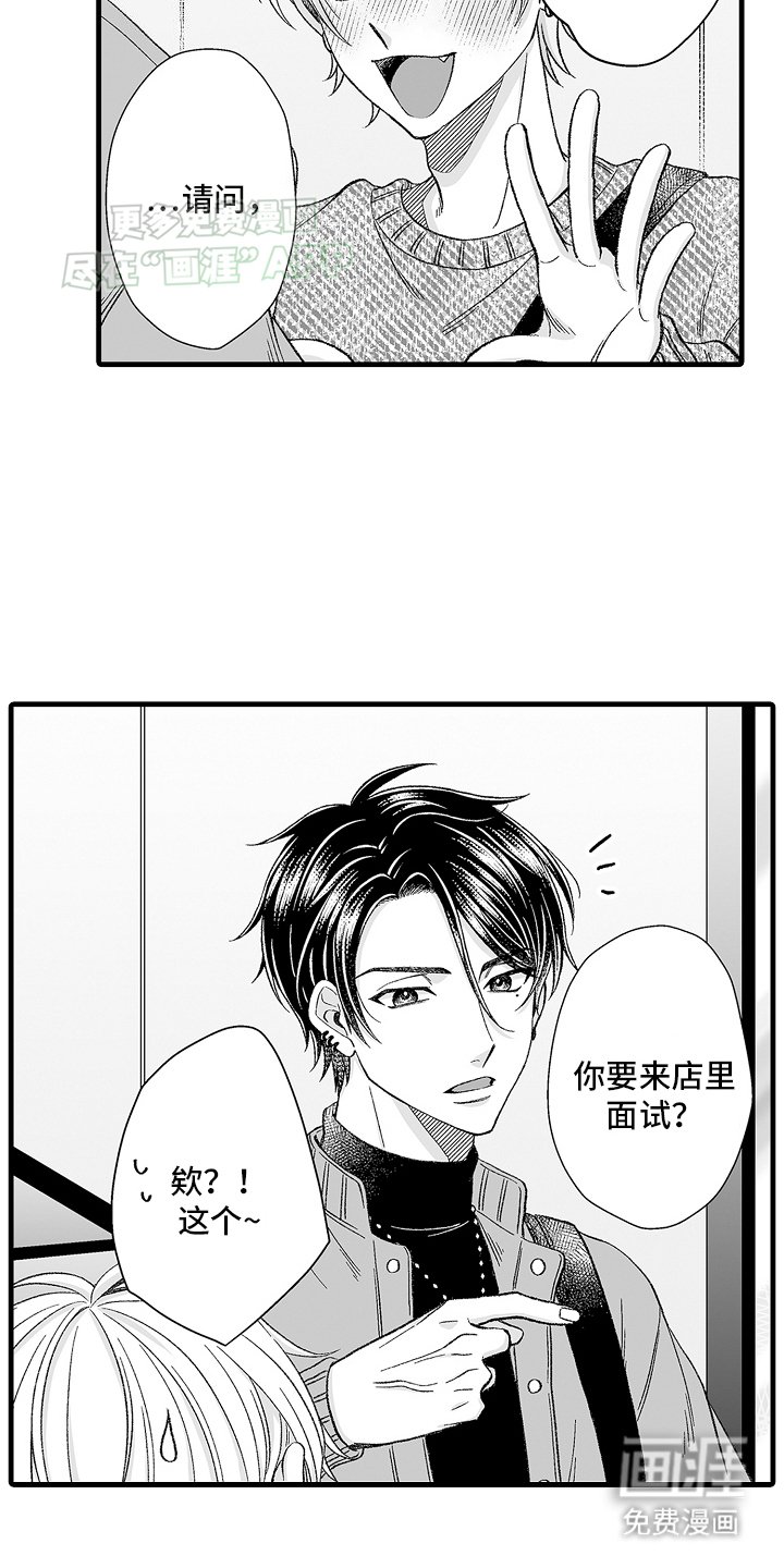 第1章：面试