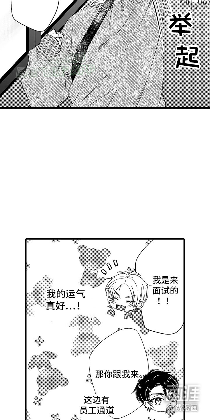 第1章：面试