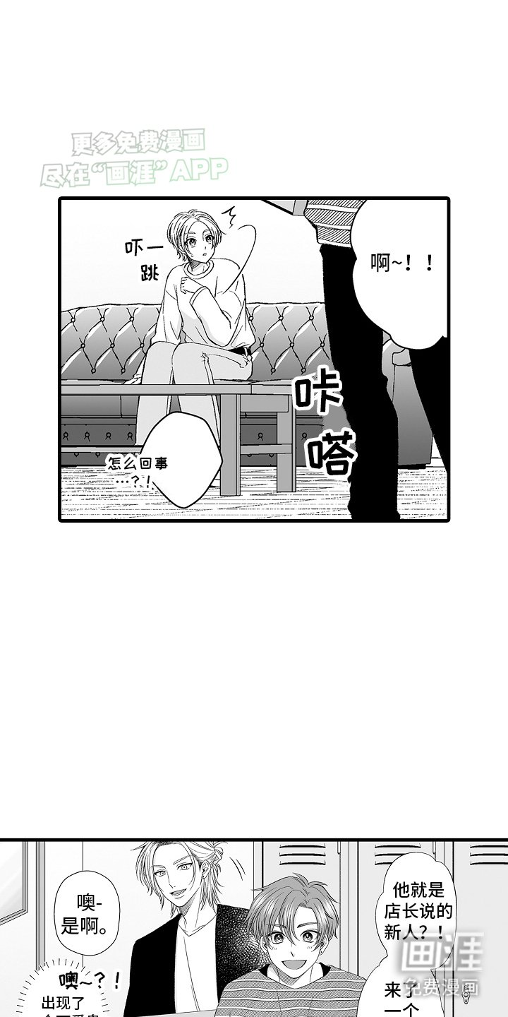 第6章：限定猫猫