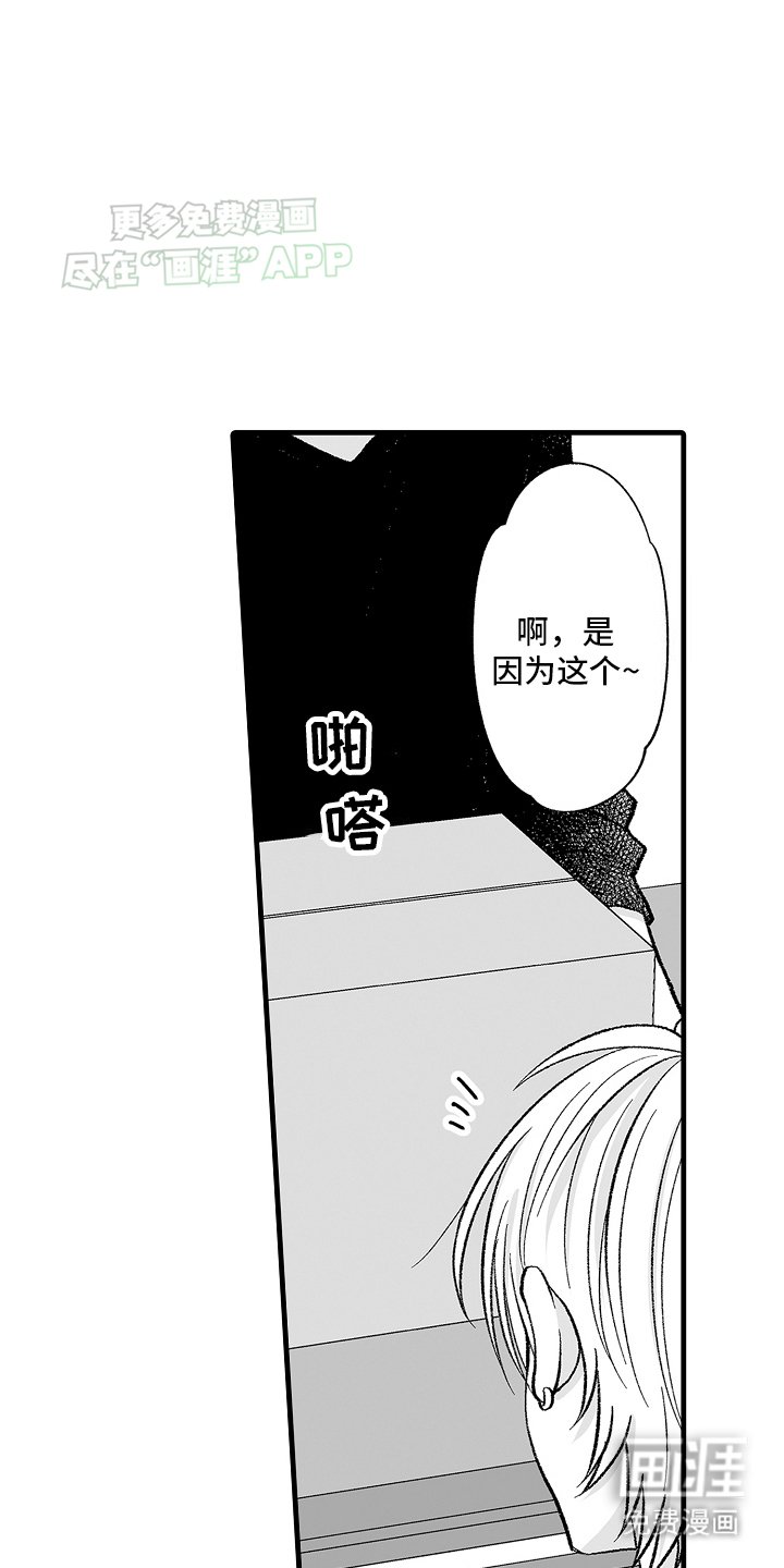 第6章：限定猫猫
