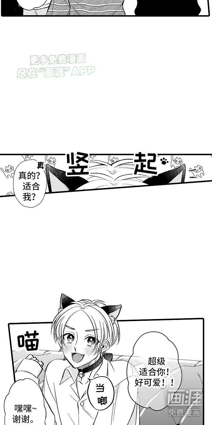 第6章：限定猫猫