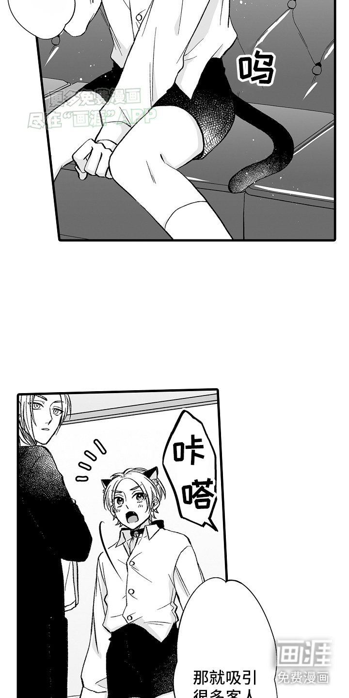 第6章：限定猫猫