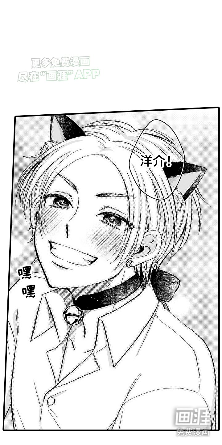第6章：限定猫猫