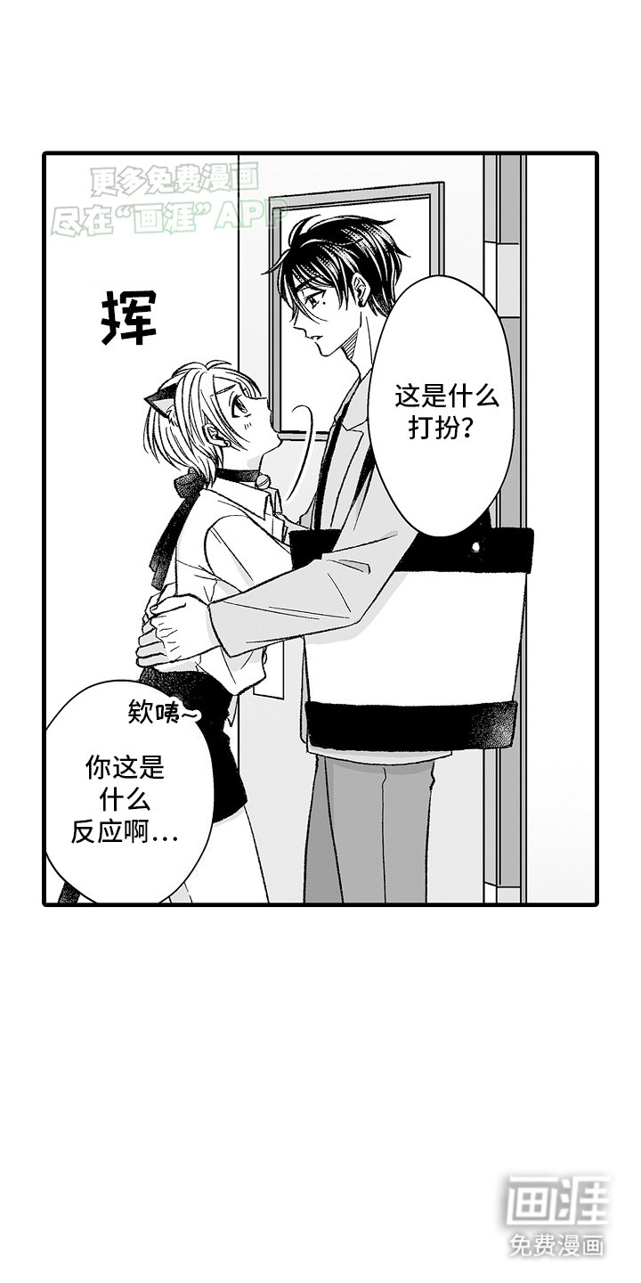 第6章：限定猫猫