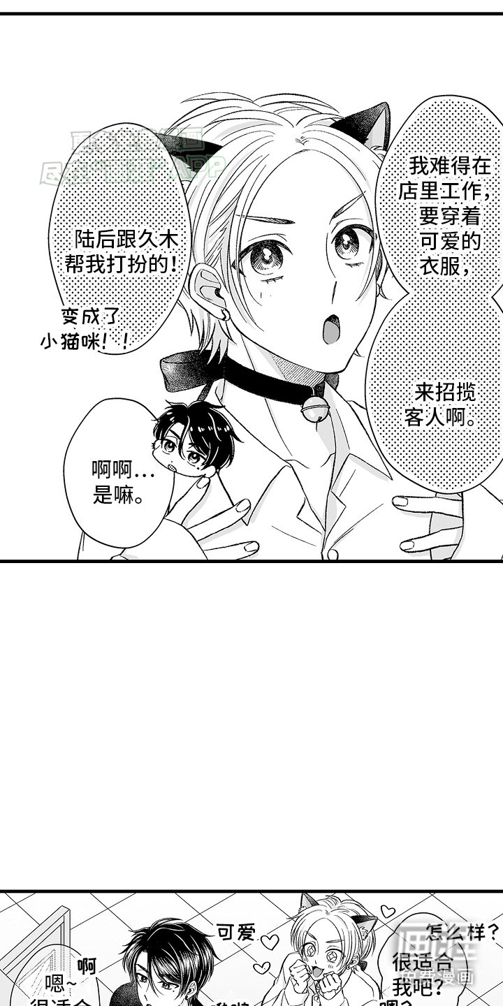 第6章：限定猫猫
