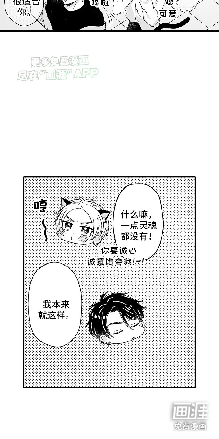 第6章：限定猫猫