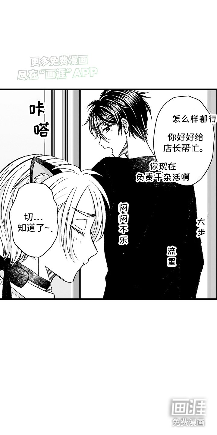 第6章：限定猫猫