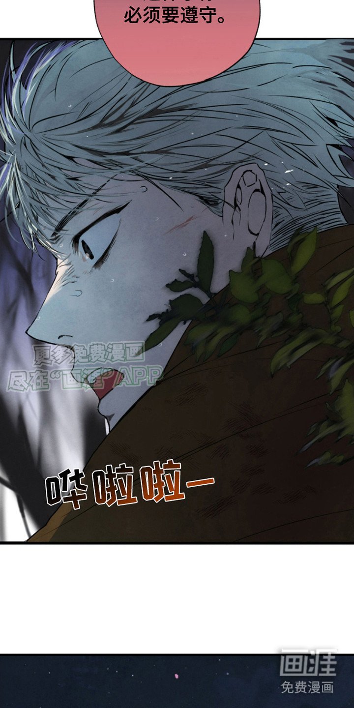 第11章： 隐藏通道