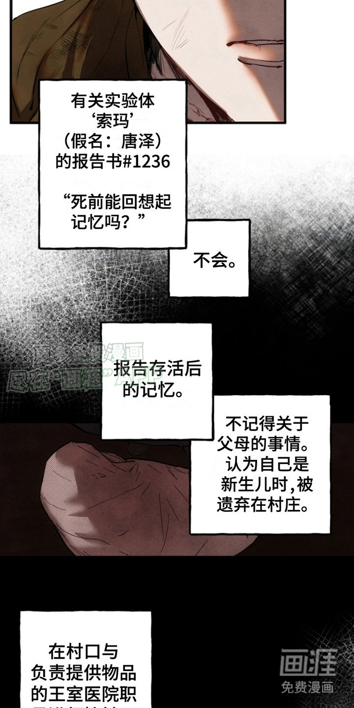 第12章： 真相