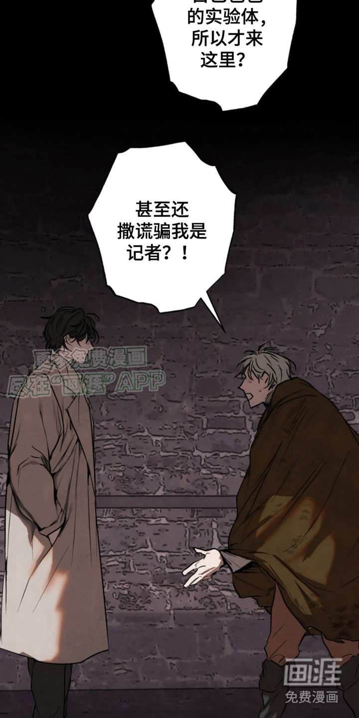 第12章： 真相