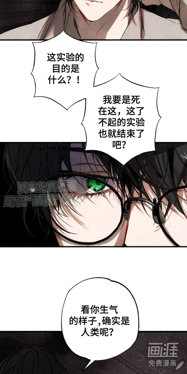 第12章： 真相