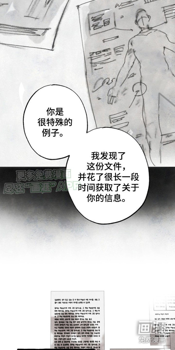 第12章： 真相