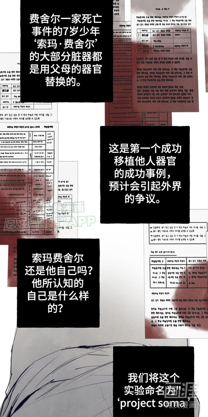 第12章： 真相