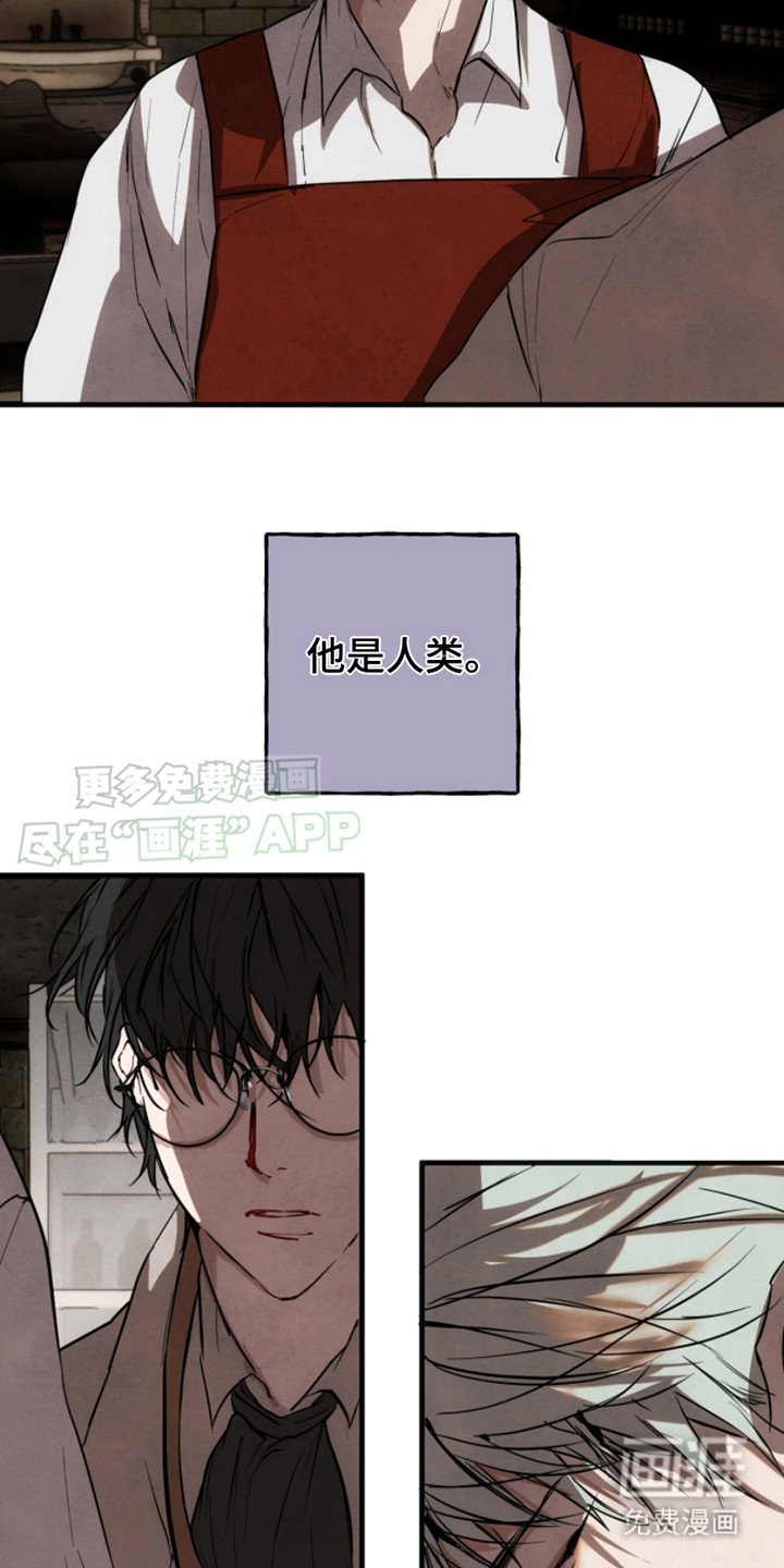 第13章：逃跑（完结）