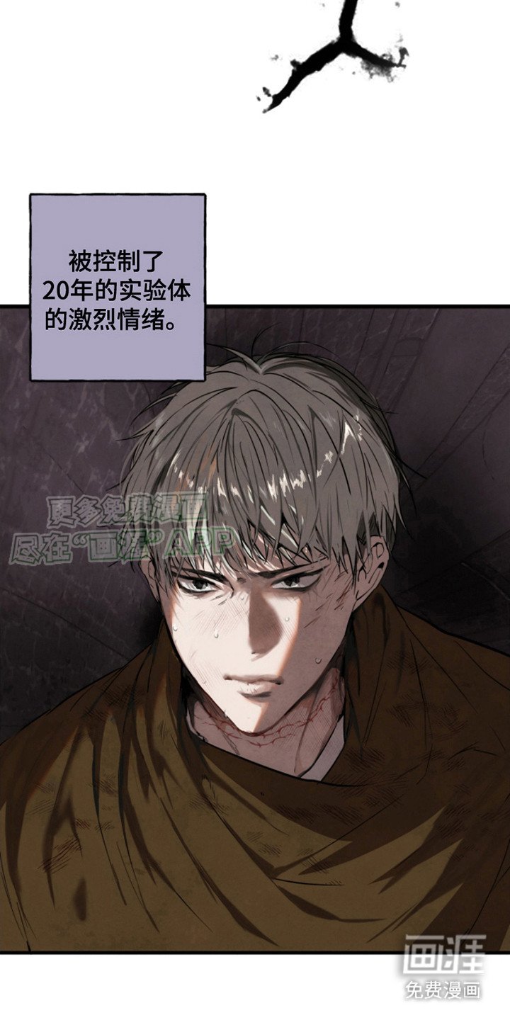 第13章：逃跑（完结）