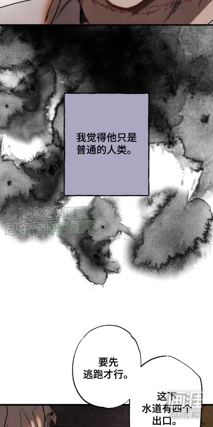第13章：逃跑（完结）