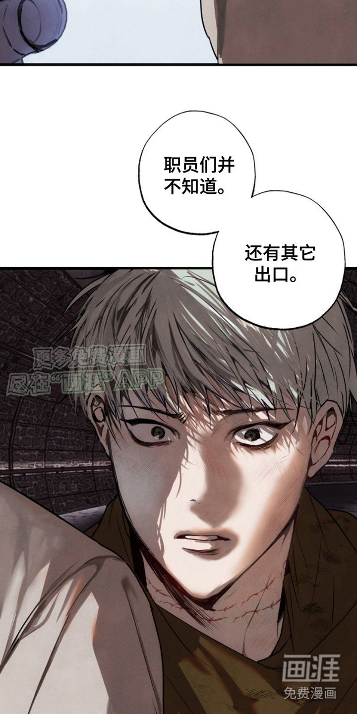 第13章：逃跑（完结）