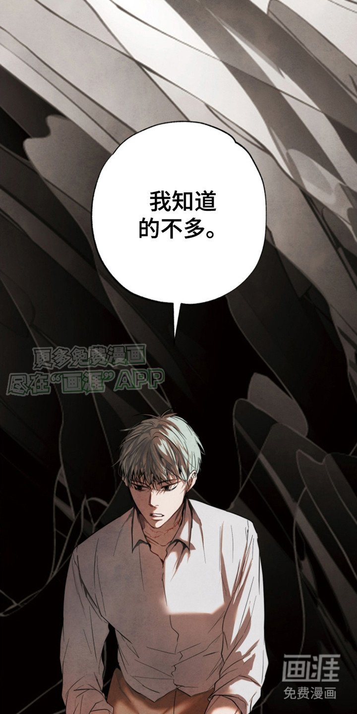 第5章：很好奇