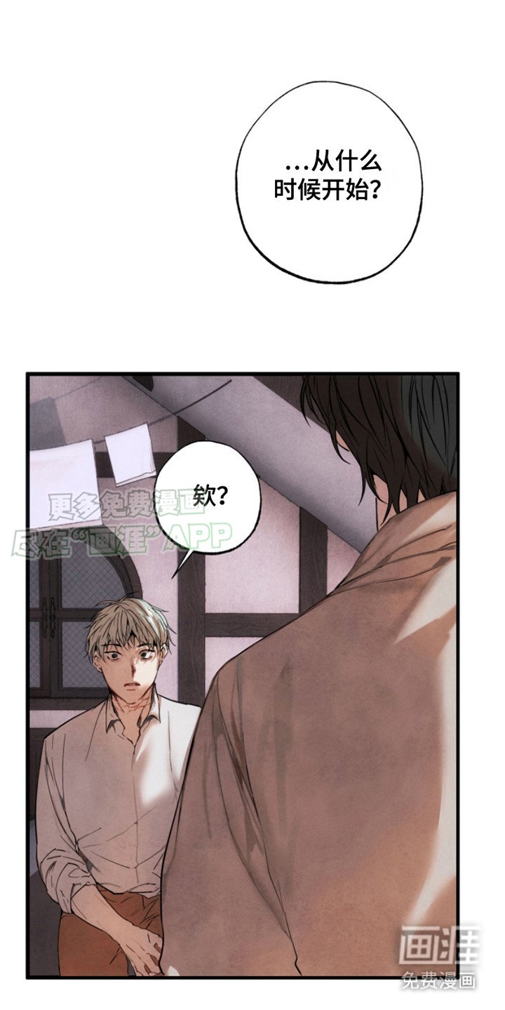 第6章： 打量