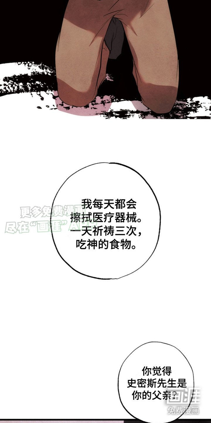 第6章： 打量