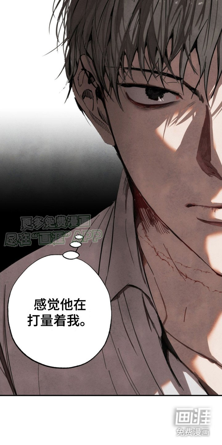 第6章： 打量