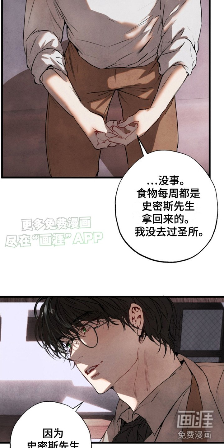 第6章： 打量