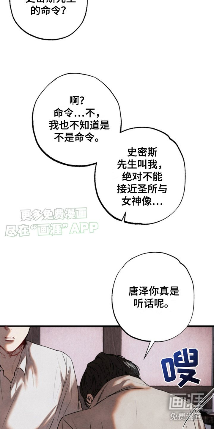 第6章： 打量
